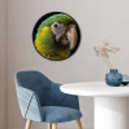 Ara - Portret - Groen Fotolijst rond zonder passe partout klein -sfeer2