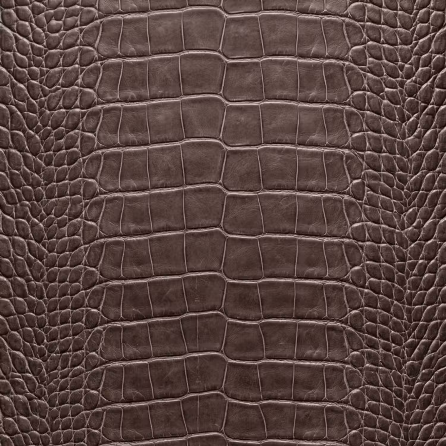 Behang - Leer - Krokodil - Mat