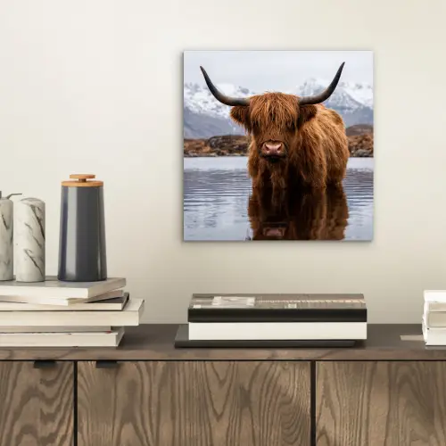 Schotse hooglander - Bruin - Water aluminium wit klein -sfeer1
