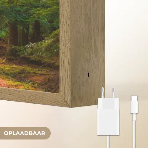 Bos - Pad - Bomen - Groen - Zon - Natuur Light Box met batterij (Wandlamp) middel -USP_websiteoplaadbaarNL