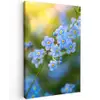 Bloemetjes - Blauw - Vergeet mij nietjes Tuinposter op houten frame 2 cm dik klein -3d