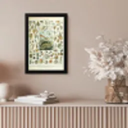 Zeedieren - Schelp - Vintage - Zee - Adolphe Millot fotolijst zwart zonder passe partout klein -sfeer5