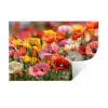 Bloemenveld - Klaprozen - Kleurrijk Muursticker klein -3d