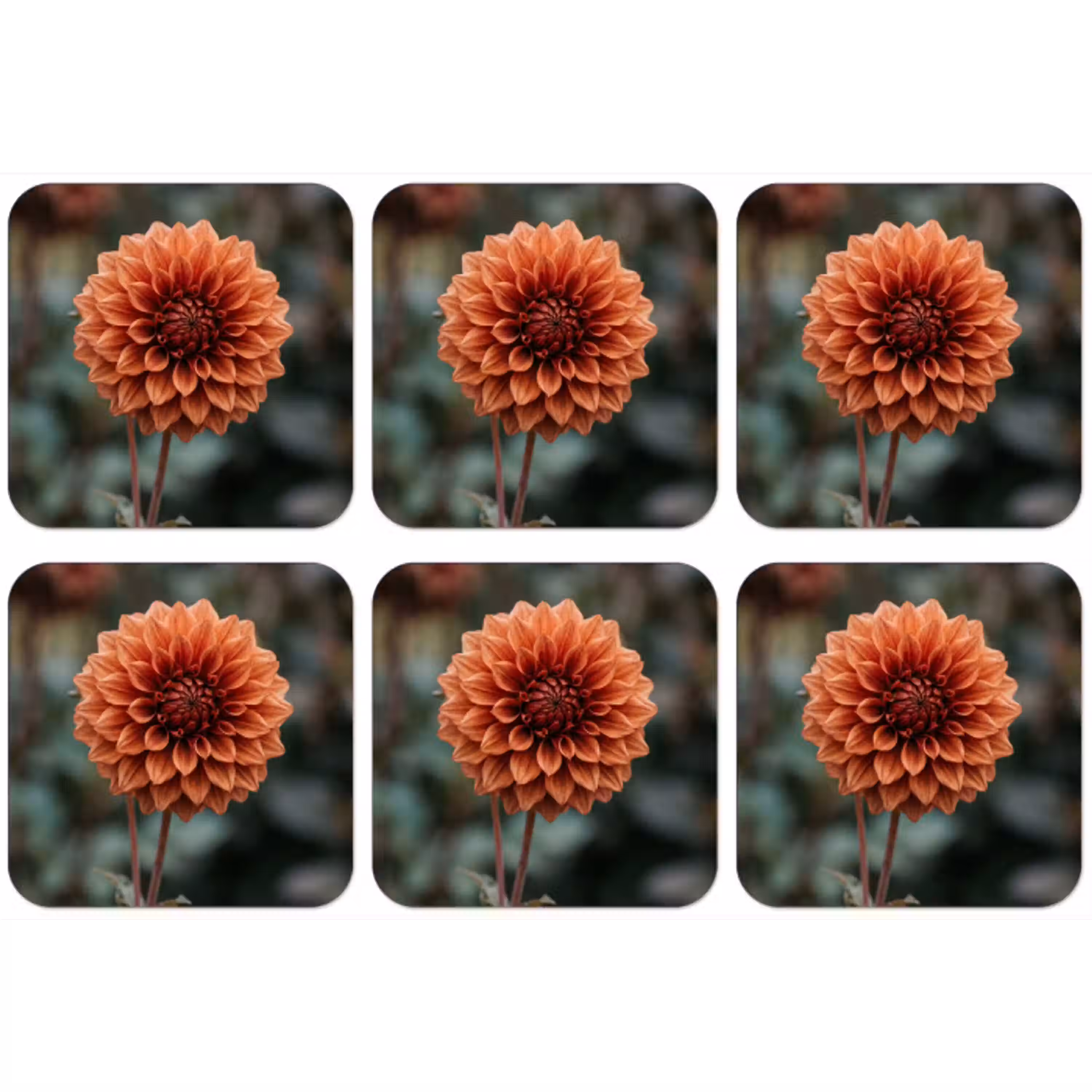 Dahlia - Bloem - Natuur - Sfeervol onderzetter kurk middel -zkaufland3dotto