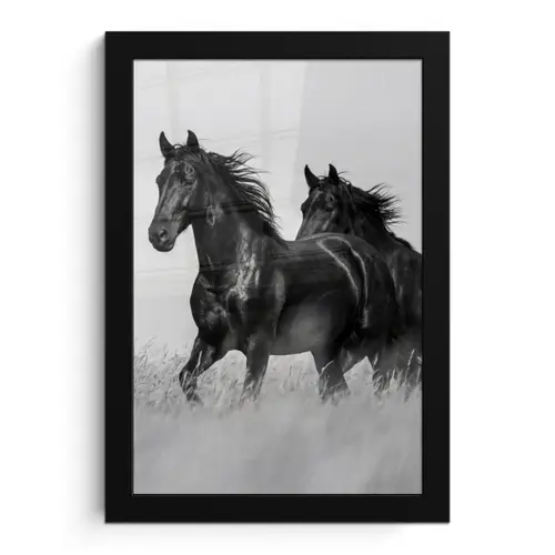 Paarden - Gras - Zwart - Wit fotolijst zwart zonder passe partout klein -3d