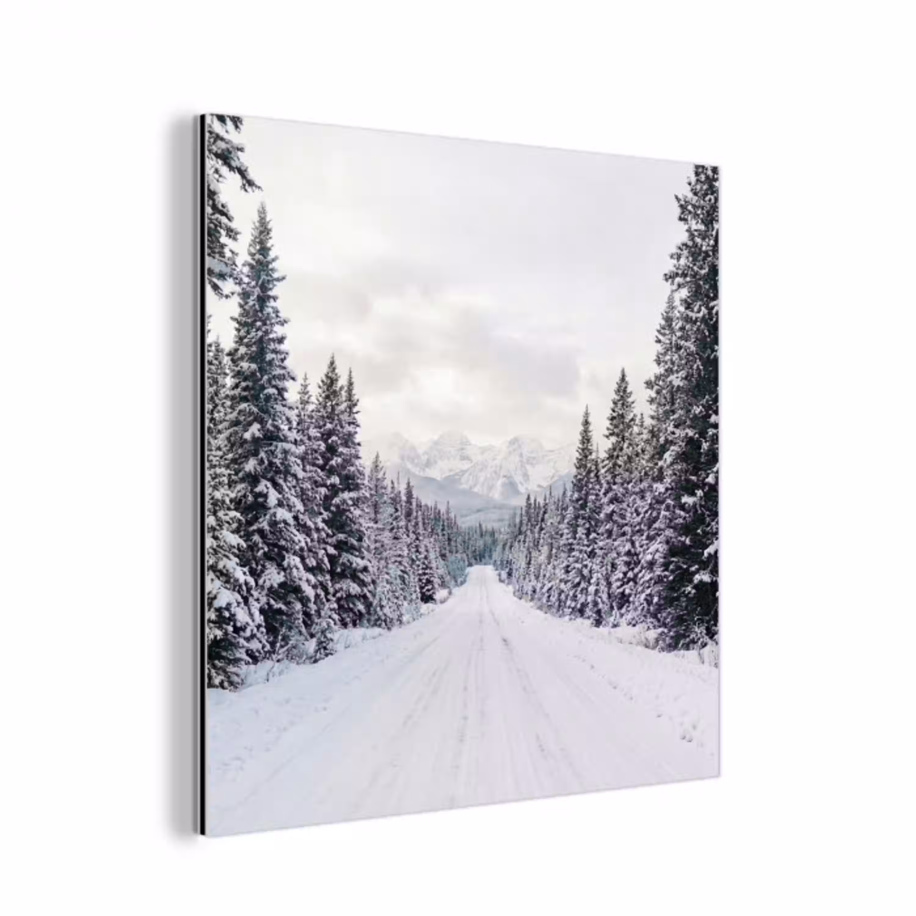 Weg - Sneeuw - Naaldbos - Winter - Avontuurlijk aluminium wit klein -3d