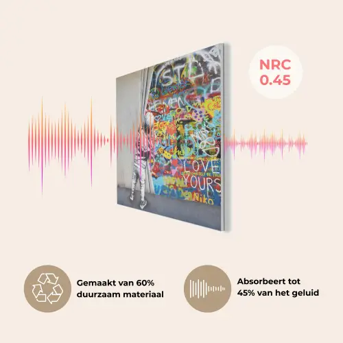 Graffiti - Illusie - Jongen - Street art PET vilt klein -USP_NL