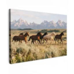 Paarden - Kudde - Bergen - Vrijheid - Wild canvas 2cm klein -z3d