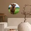 Schotse hooglander - Koeien - Natuur - Groen - Gras Wandcirkel behangsticker klein -sfeer1