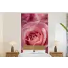 Roze - Roos - Romantisch fotobehang vinyl groot -bed