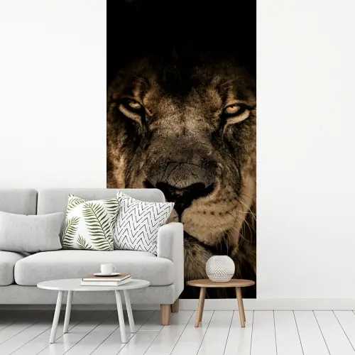 Leeuw - Dieren - Zwart - Portret fotobehang vinyl groot -woonkamer