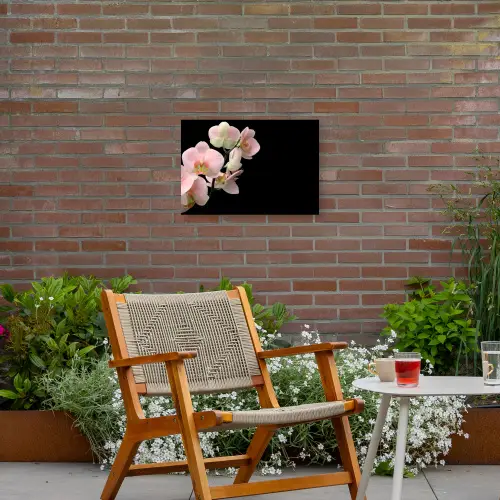 Orchidee - Bloemen - Roze - Stilleven - Flora Tuinposter op houten frame 2 cm dik klein -sfeer3