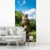 Uil - Boomstronk - Bos - Lucht fotobehang vinyl groot -woonkamer