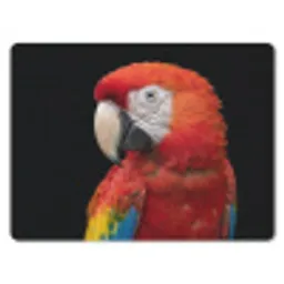 Ara - Portret - Rood muismat rubber klein -3d