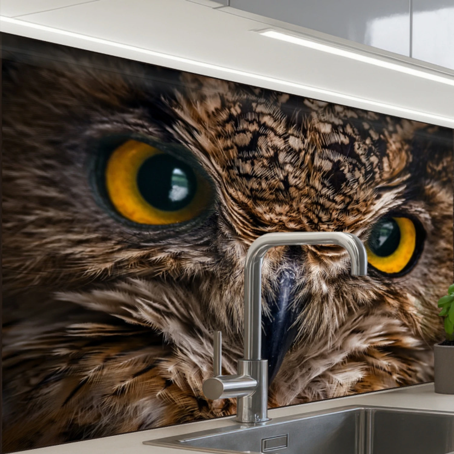 Uil - Dier - Oranje keuken achterwand 2 middel -zzzz3d_schuin