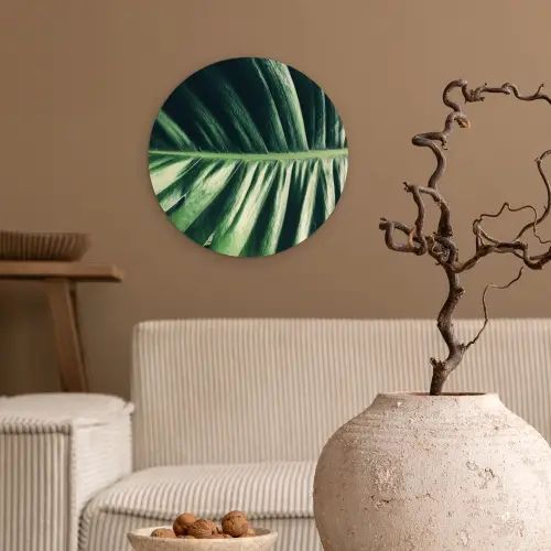 Tropisch - Inductie mat - Natuur - Inductie beschermer - Jungle Wandcirkel plexiglas klein -sfeer1