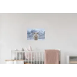 Schotse Hooglander - Sneeuw - Bergen - Winter Muursticker klein -kinderkamer