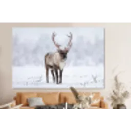Rendier - Gewei - Toendra - Sneeuw - Wild forex 5mm xxl -bovenbank