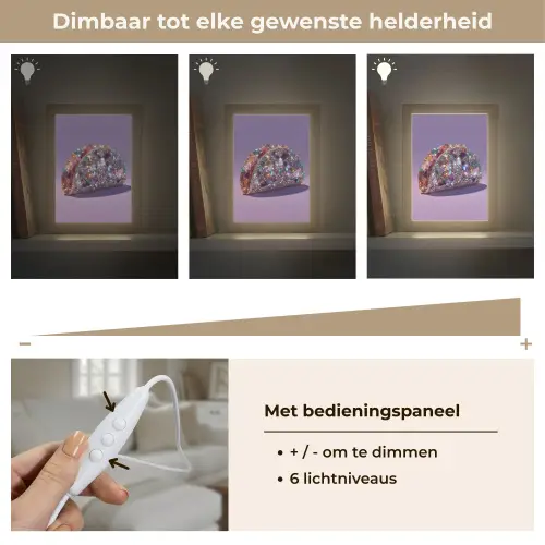 Edelstenen - Glitters - Paars - Kleurrijk Light Box met kabel (Tafellamp) klein -USP_dimbaarNL
