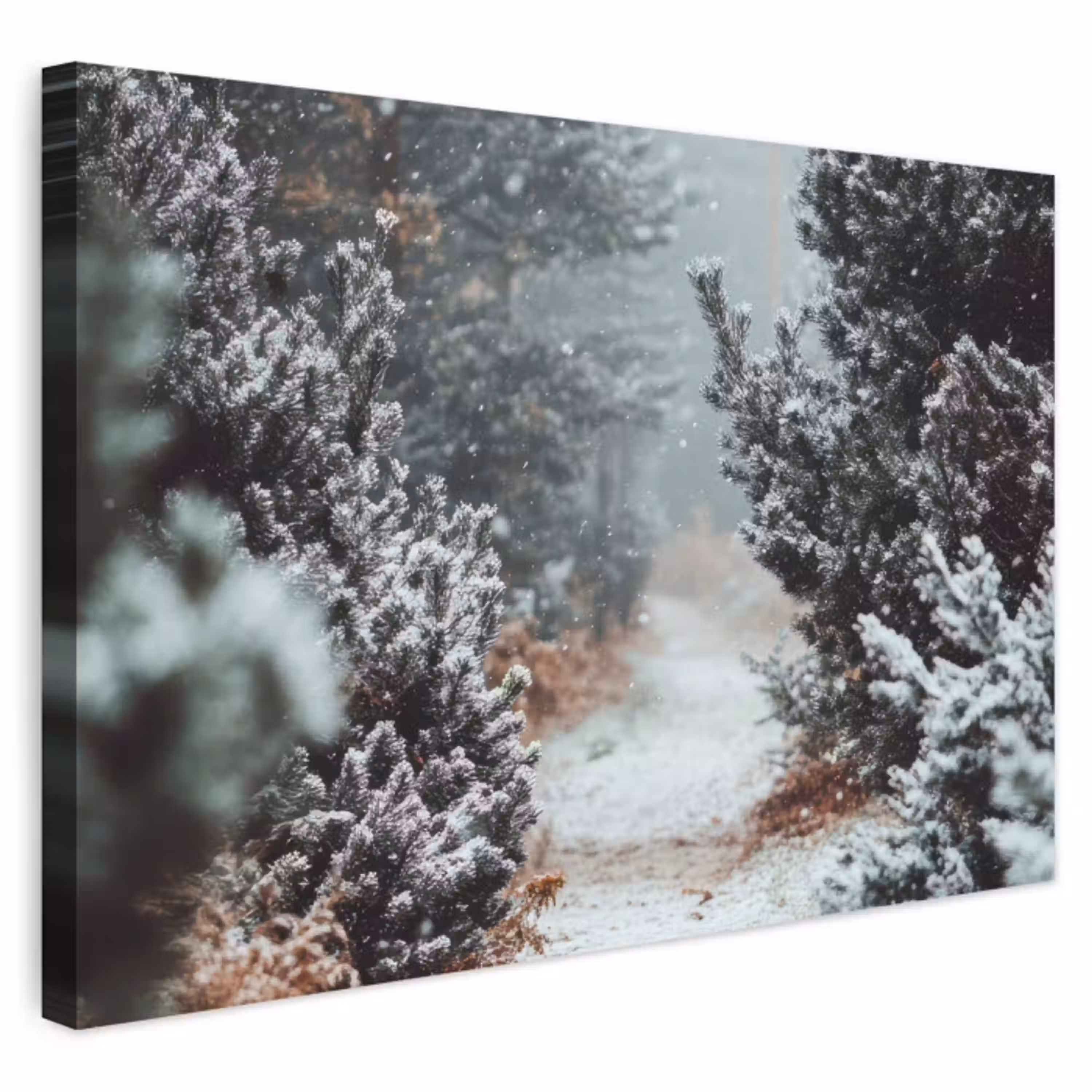 Bos - Winter - Bomen - Natuur - Pad - Sneeuw Tuinposter op houten frame 2 cm dik klein -3d