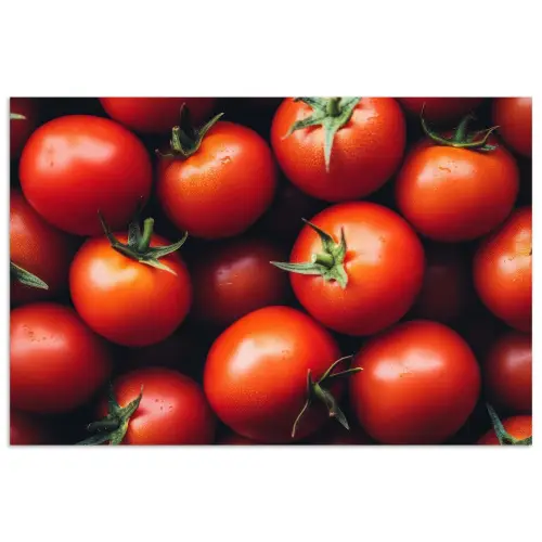 Groente - Rood - Tomaten poster papier klein -3d