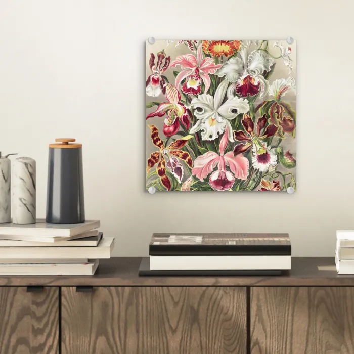 Bloemen - Ernst Haeckel - Vintage - Orchidee plexiglas 5mm klein -sfeer1