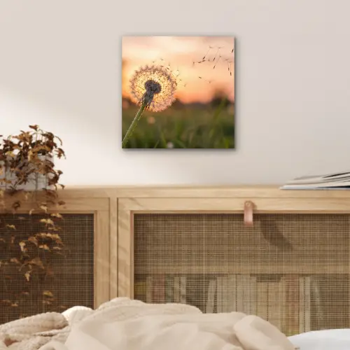 Paardenbloem - Zonsondergang - Veld aluminium wit klein -sfeer3