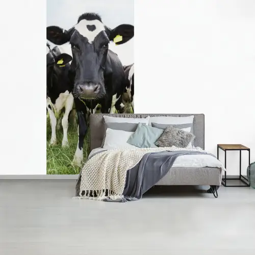 Koeien - Gras - Lente - Dieren - Weiland - Boerderij fotobehang vinyl groot -slaapkamer