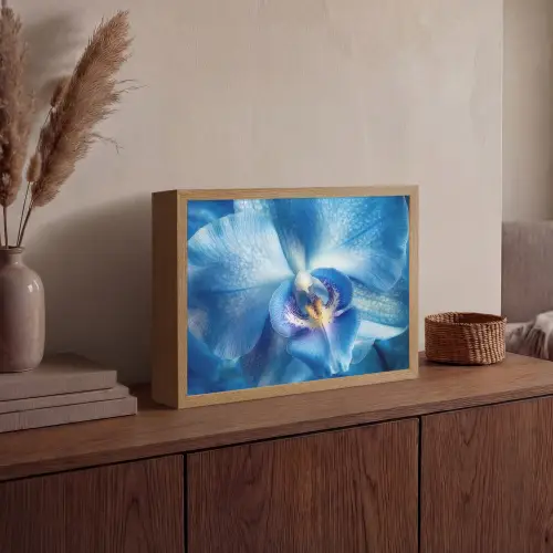 Blauw - Orchidee - Elegeant Light Box met batterij (Wandlamp) middel -sfeer2