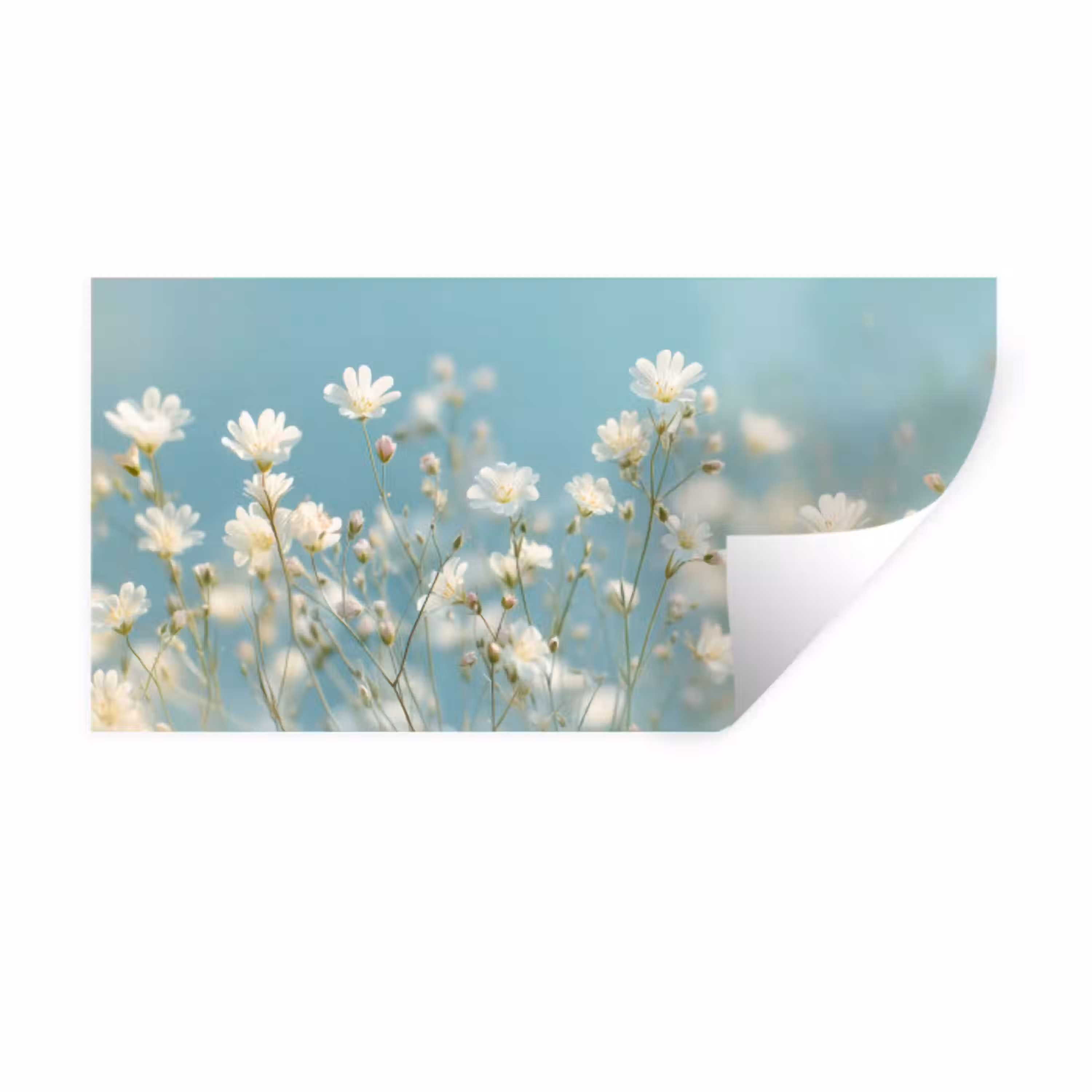 Stengels - Bloemen - Lucht - Wit Muursticker klein -3d