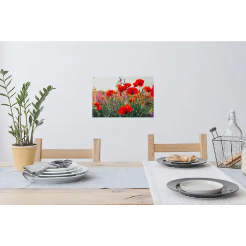 Klaproos - Bloemen - Wilde bloemen Muursticker klein -eettafel