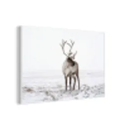 Rendier - Gewei - Sneeuw - Winter forex 5mm xxl -3d