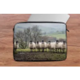 Schapen - Rij - Weide - Dieren - Platteland laptophoes neopreen klein -tafel