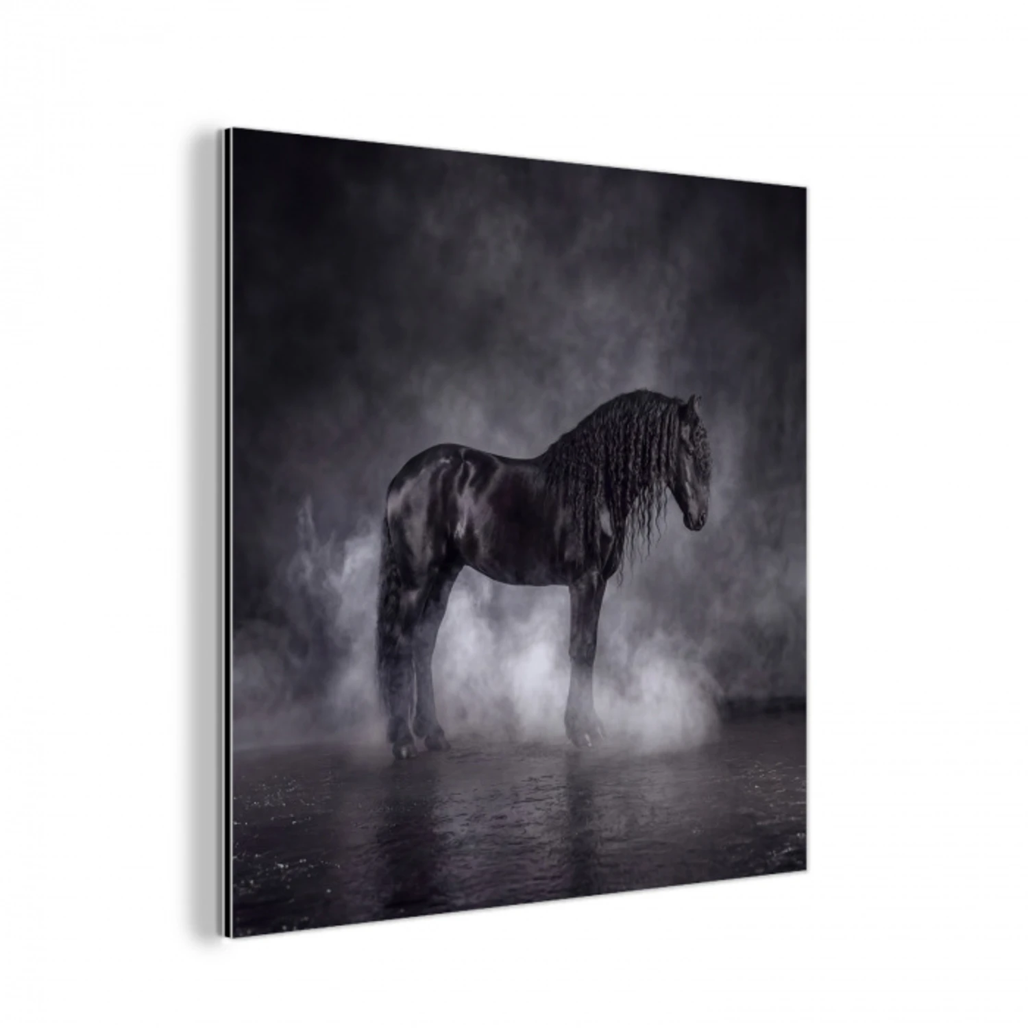 Paard - Magisch - Zwart aluminium wit klein -3d