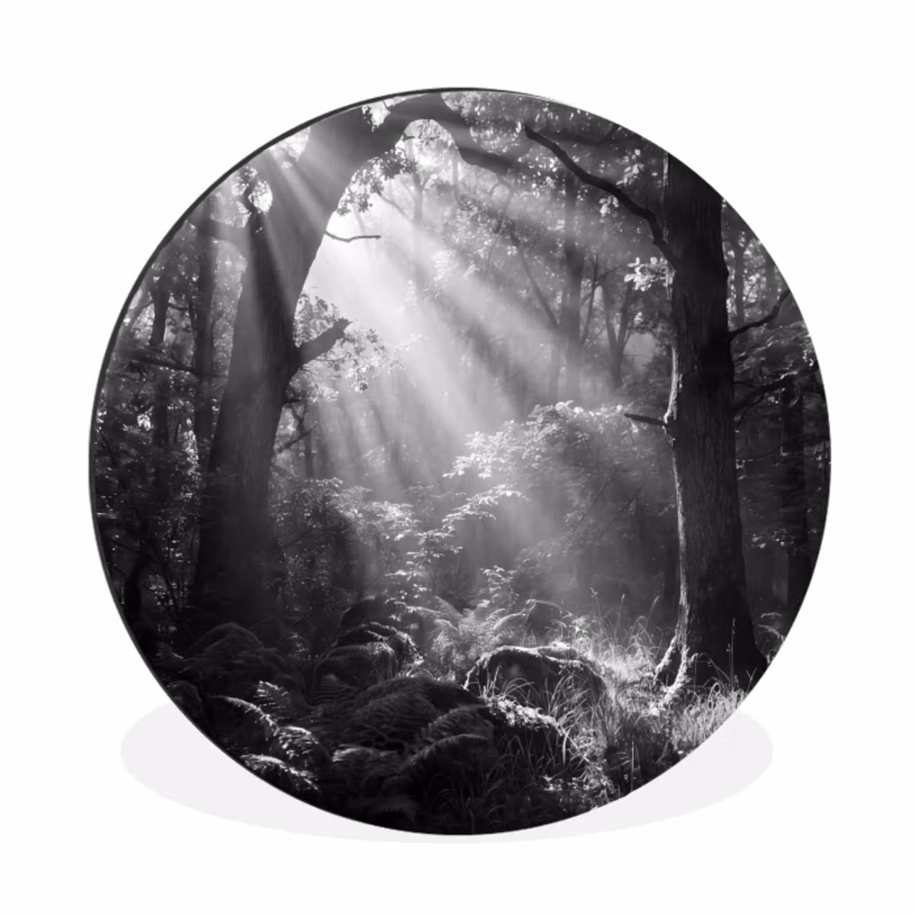 Bos - Lichtstralen - Natuur - Zwart-wit Wandcirkel aluminium klein -3d