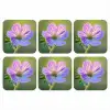 Bloem - Close up - Paars onderzetter kurk middel -3d