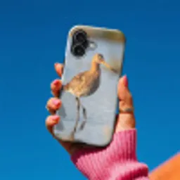 Vogel - Steltloper - Water - Natuur Toughcase MagSafe Apple iPhone 17 klein -Sfeer1V