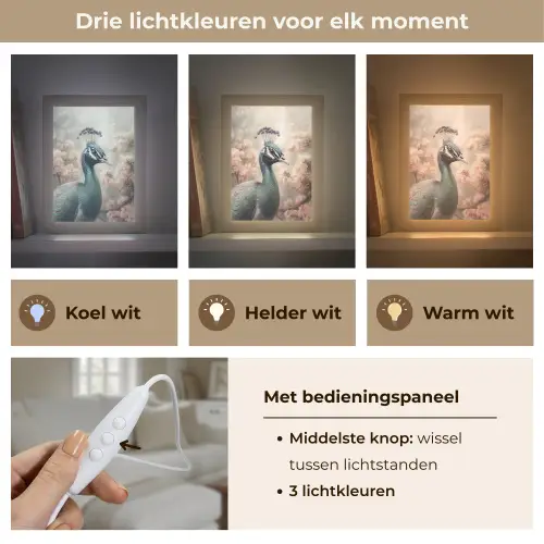 Pauw - Vogels - Bloemen - Boom - Botanisch Light Box met kabel (Tafellamp) klein -USP_lichtkleurNL