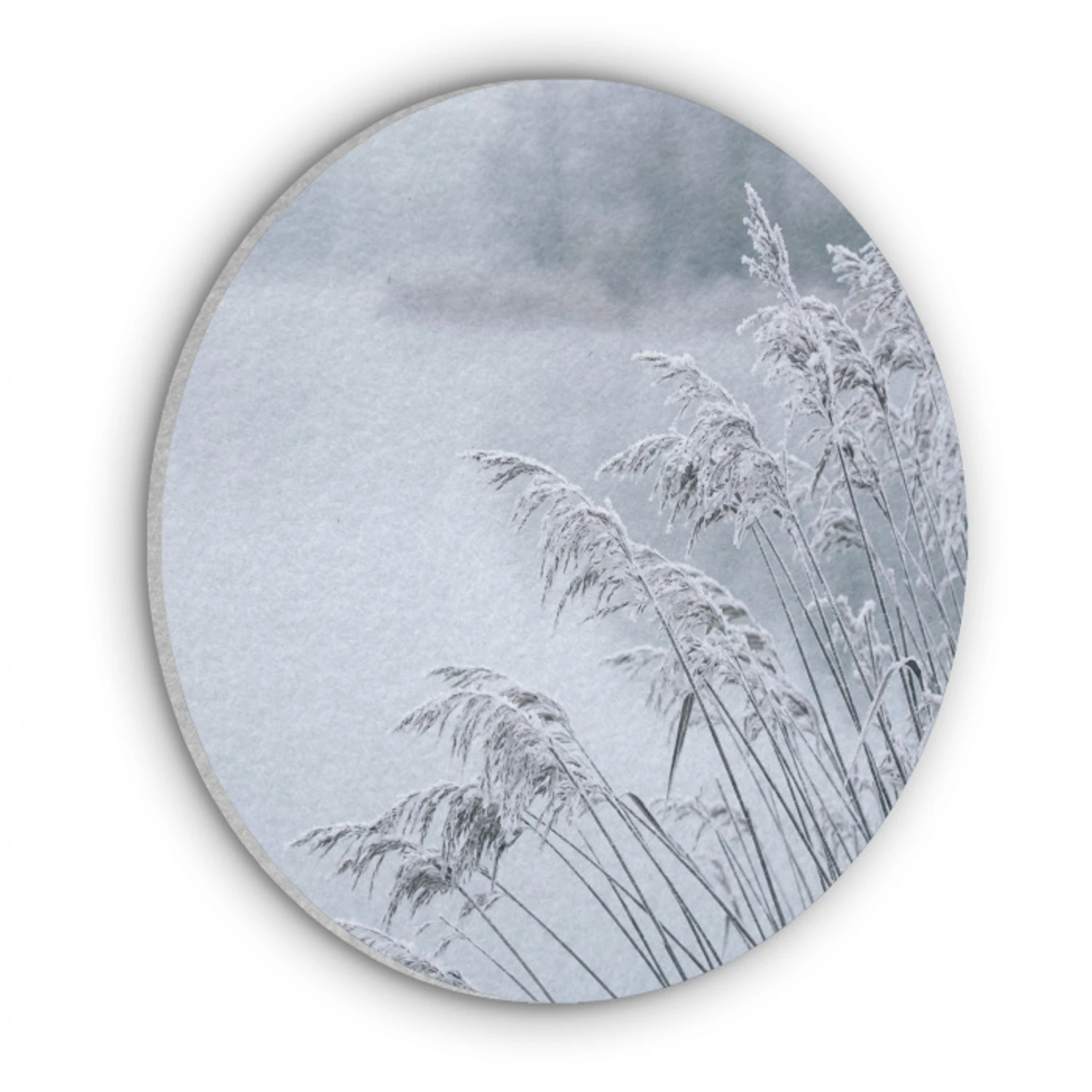 Riet - Bevroren - Winter - Natuur Akoestische PET Vilt - Rond klein -3d
