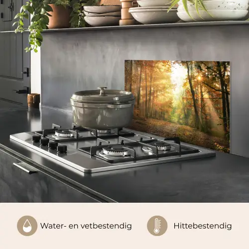 Bos - Herfst - Zon - Landschap - Natuur - Bomen - Bladeren keuken achterwand spatscherm klein -usp_NL