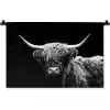 Schotse Hooglander - Koe - Zwart - Wit - Dieren Wandkleed katoen klein -zz3d