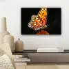 Vlinder - Bloemen - Insect - Portret - Zwart - Oranje canvas 2cm klein -sfeer6