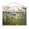 Bloemen - Zomer - Korenbloem - Blauw - Zon - Wolken textielposter latten blank klein -3d