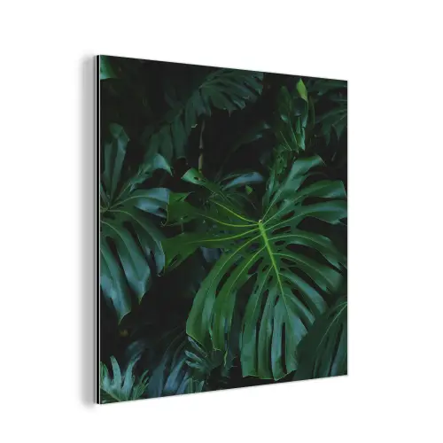 Monstera -  Inductie beschermer - Bladeren - Tropical - Afdekplaat voor kookplaat aluminium wit klein -3d