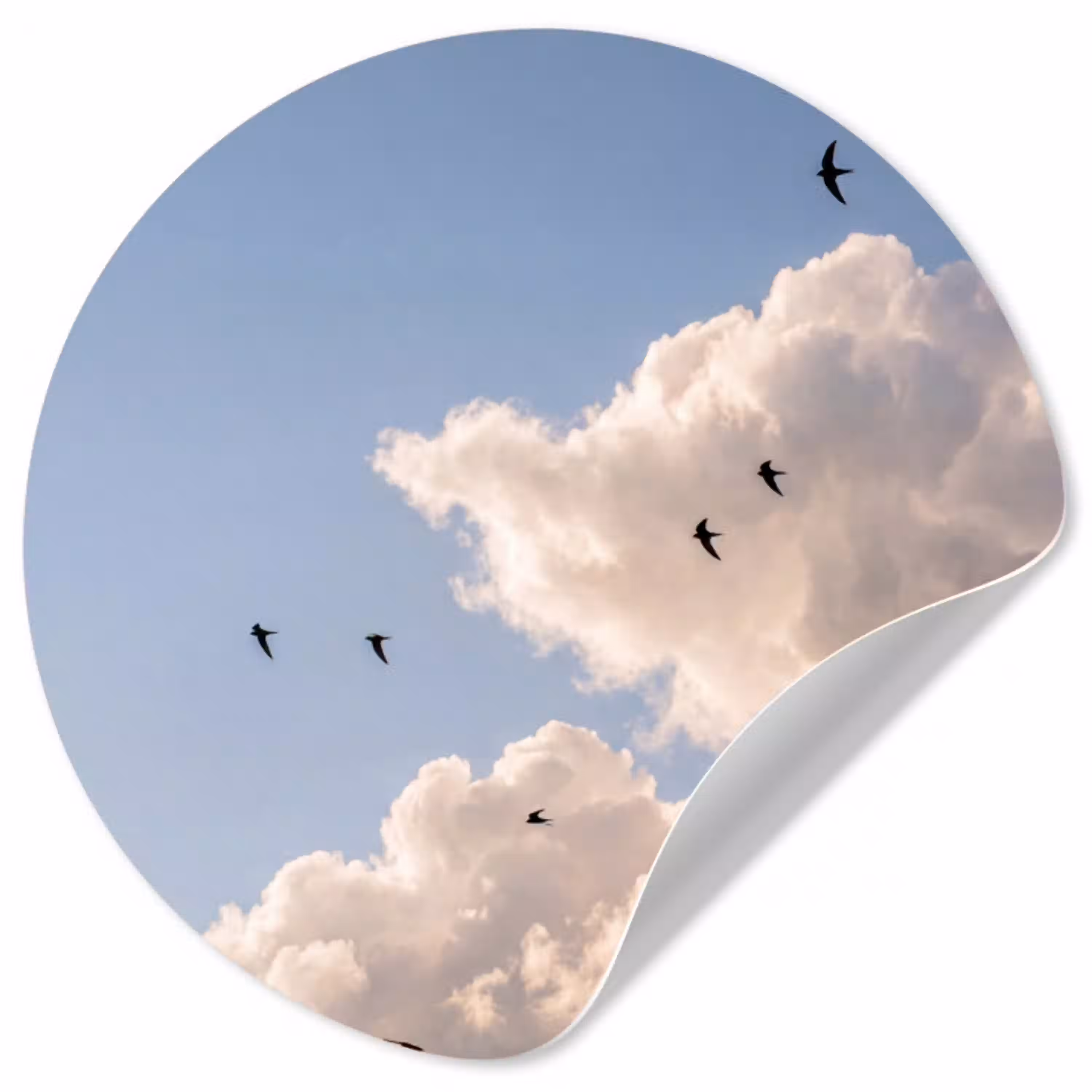 Vogel - Vlucht - Wolken - Natuur - Blauw Wandcirkel behangsticker klein -3d