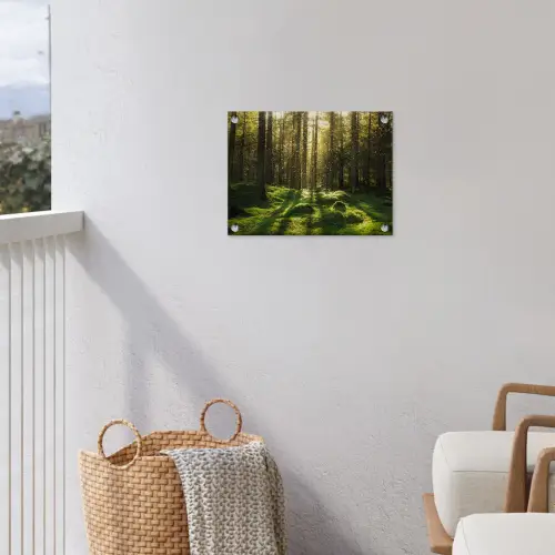 Bomen - Bos - Mos - Planten - Zon - Natuur tuinposter los doek klein -sfeer8