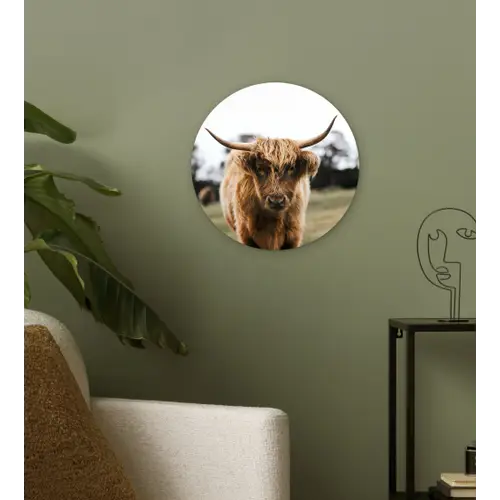 Schotse Hooglander -  Koe - Gras - Dieren - Natuur Wandcirkel kunststof plaat 5mm dik klein -sfeer3