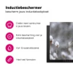 Roodborstje - Gedroogde bloem - Sneeuw - Winter - Vertederend Inductie beschermer vinyl 3mm klein -wsfeer2_website