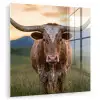 Longhorn - Landschap - Zonsondergang plexiglas 5mm klein -zzzproduct_nieuw