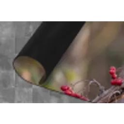 Roodborst - Tak - Bessen - Natuur Keukenloper - keukenmat middel -closeup